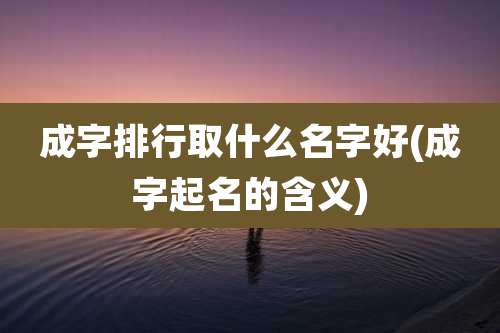成字排行取什么名字好(成字起名的含义)