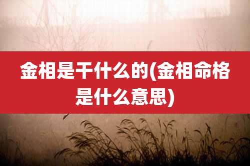 金相是干什么的(金相命格是什么意思)