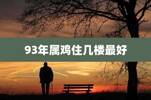 93年属鸡住几楼最好