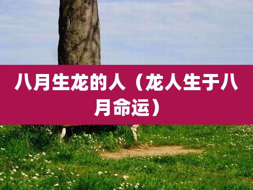 八月生龙的人（龙人生于八月命运）