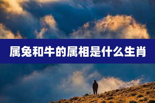 属兔和牛的属相是什么生肖