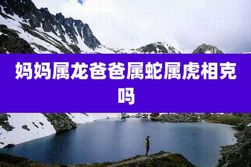 妈妈属龙爸爸属蛇属虎相克吗