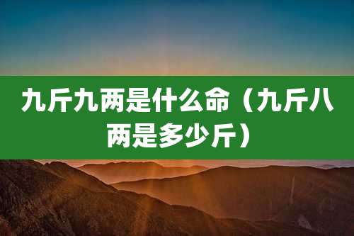 九斤九两是什么命（九斤八两是多少斤）