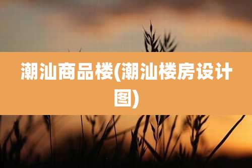 潮汕商品楼(潮汕楼房设计图)