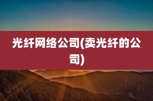 光纤网络公司(卖光纤的公司)