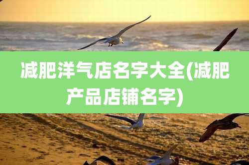 减肥洋气店名字大全(减肥产品店铺名字)