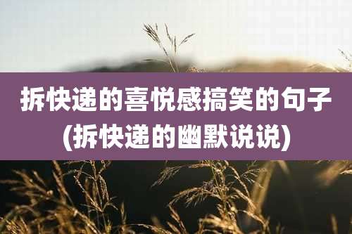 拆快递的喜悦感搞笑的句子(拆快递的幽默说说)