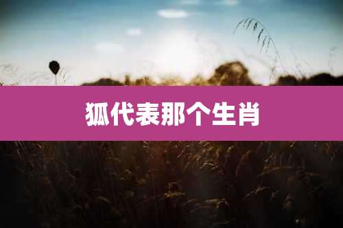 狐代表那个生肖