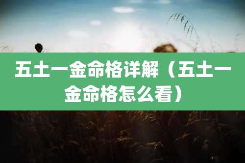 五土一金命格详解（五土一金命格怎么看）
