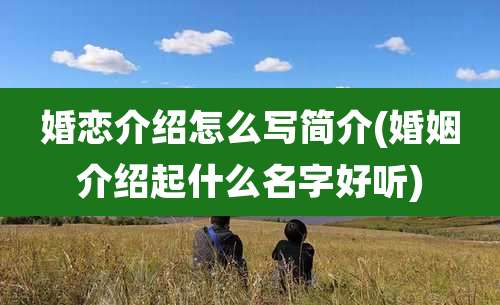 婚恋介绍怎么写简介(婚姻介绍起什么名字好听)