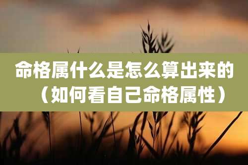 命格属什么是怎么算出来的（如何看自己命格属性）