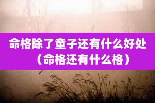 命格除了童子还有什么好处（命格还有什么格）