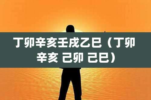 丁卯辛亥壬戌乙巳（丁卯 辛亥 己卯 己巳）