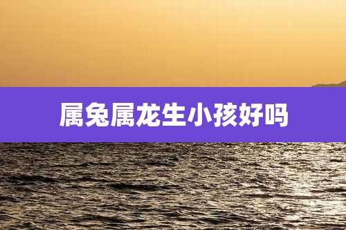 属兔属龙生小孩好吗