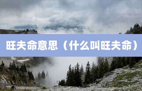 旺夫命意思（什么叫旺夫命）