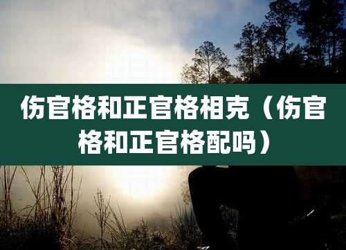 伤官格和正官格相克（伤官格和正官格配吗）