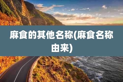 麻食的其他名称(麻食名称由来)