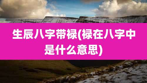 生辰八字带禄(禄在八字中是什么意思)