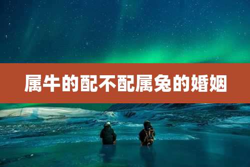 属牛的配不配属兔的婚姻