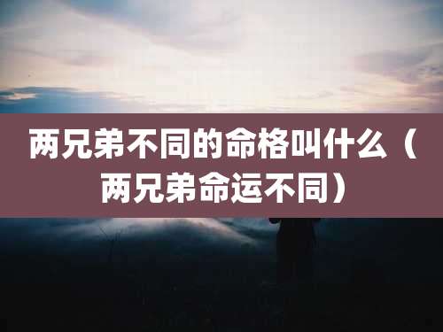 两兄弟不同的命格叫什么（两兄弟命运不同）