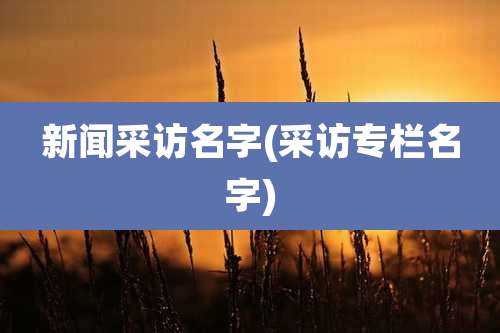 新闻采访名字(采访专栏名字)