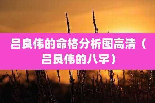 吕良伟的命格分析图高清（吕良伟的八字）