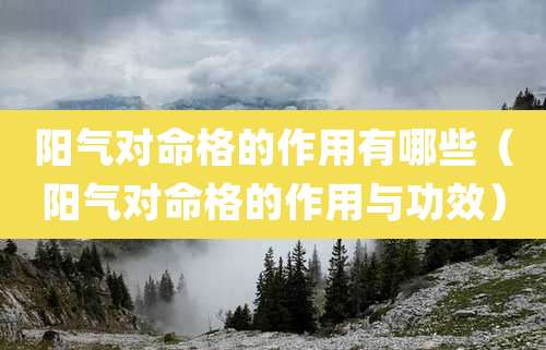 阳气对命格的作用有哪些（阳气对命格的作用与功效）