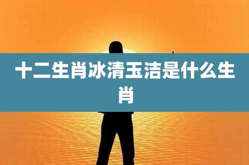 十二生肖冰清玉洁是什么生肖