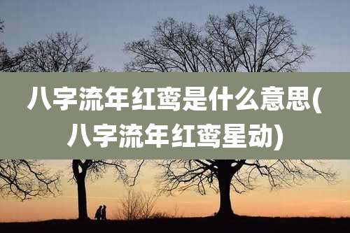 八字流年红鸾是什么意思(八字流年红鸾星动)