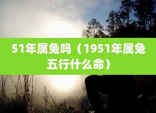 51年属兔吗（1951年属兔五行什么命）