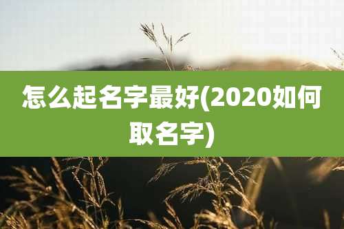 怎么起名字最好(2020如何取名字)