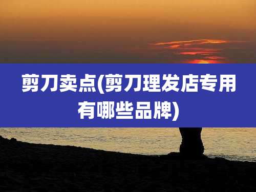 剪刀卖点(剪刀理发店专用有哪些品牌)