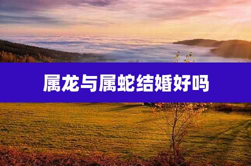 属龙与属蛇结婚好吗