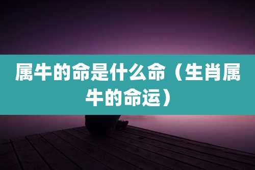 属牛的命是什么命（生肖属牛的命运）