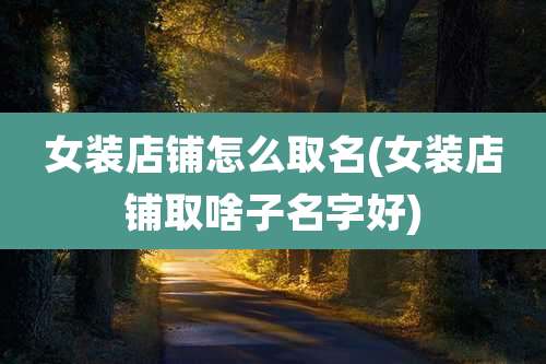 女装店铺怎么取名(女装店铺取啥子名字好)