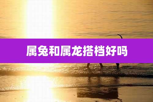 属兔和属龙搭档好吗