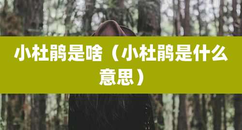 小杜鹃是啥（小杜鹃是什么意思）