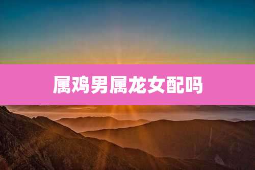 属鸡男属龙女配吗