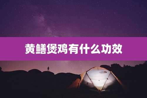 黄鳝煲鸡有什么功效