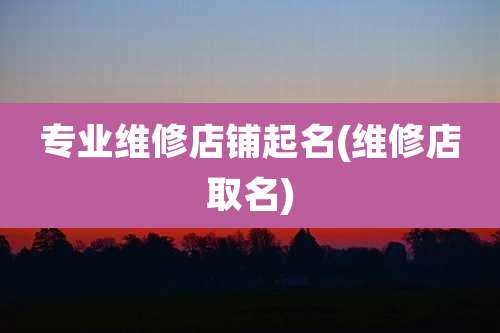 专业维修店铺起名(维修店取名)