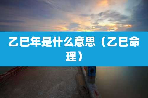 乙巳年是什么意思（乙巳命理）