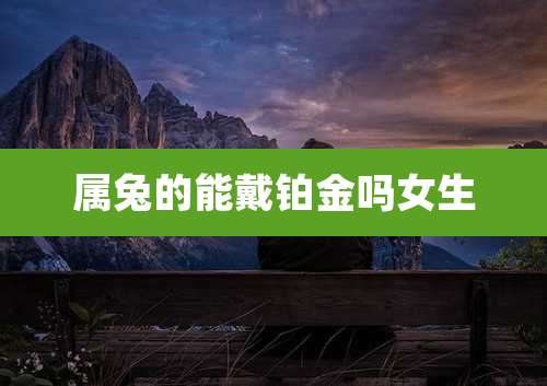 属兔的能戴铂金吗女生