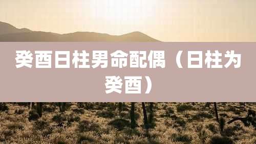 癸酉日柱男命配偶（日柱为癸酉）