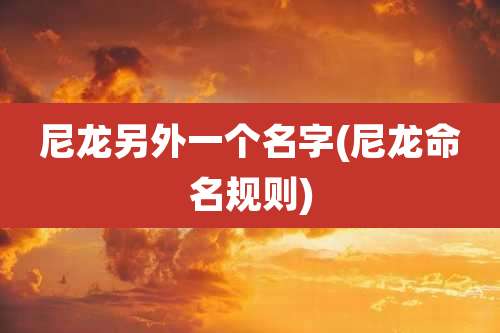 尼龙另外一个名字(尼龙命名规则)