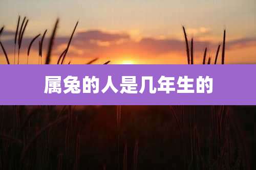 属兔的人是几年生的