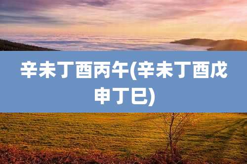 辛未丁酉丙午(辛未丁酉戊申丁巳)