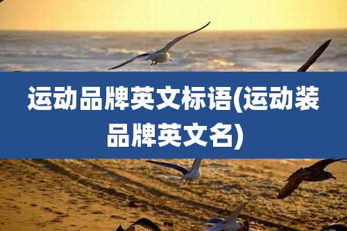 运动品牌英文标语(运动装品牌英文名)