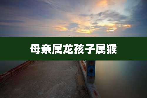 母亲属龙孩子属猴