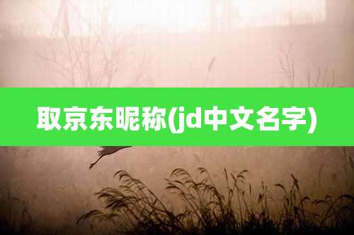 取京东昵称(jd中文名字)