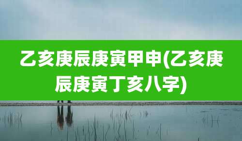 乙亥庚辰庚寅甲申(乙亥庚辰庚寅丁亥八字)